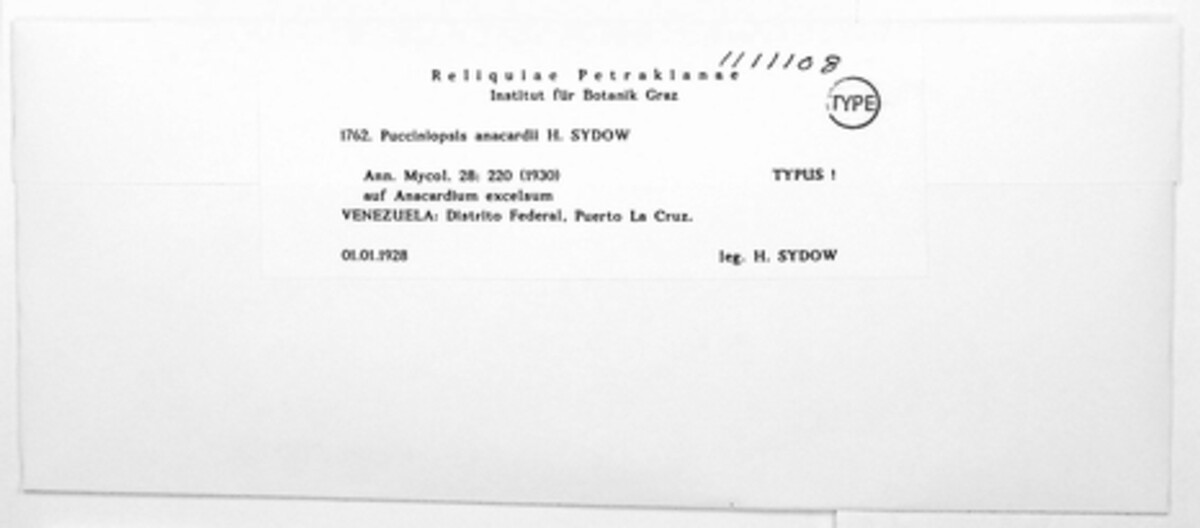Pucciniopsis image